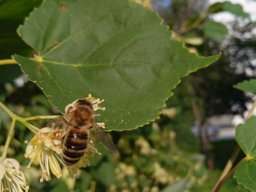 © Фото Алексея Яновского.📷
