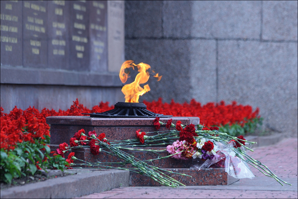 Яндекс. Картинки.