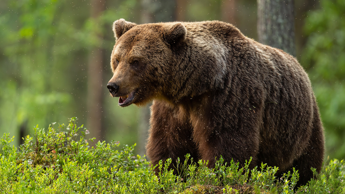 У контрабандистов отсутствуют какие-либо моральные принципы...