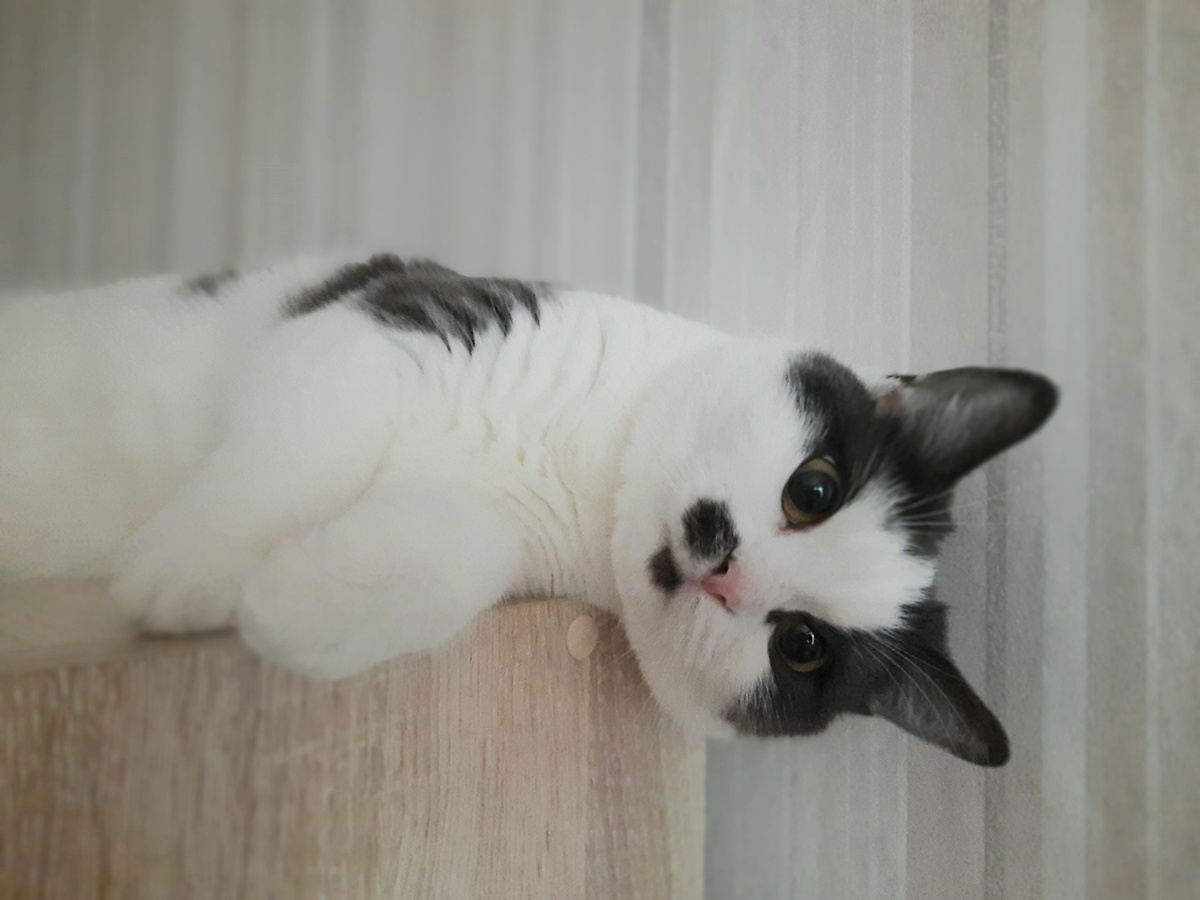 Мурманский дневник. 30.06.24. | Из Мурманска о своём. | Дзен