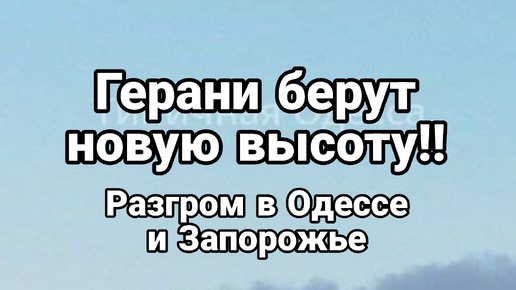 Герани берут новые высоты