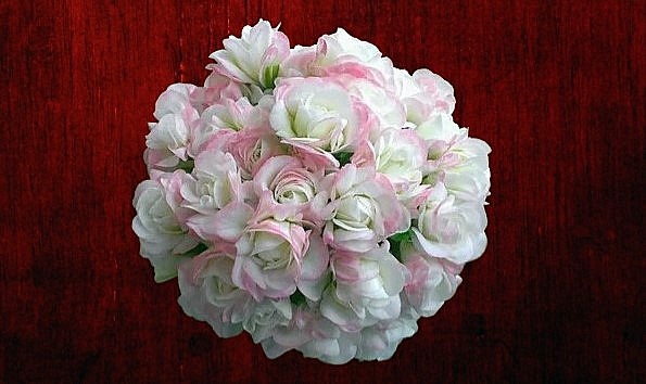 Нежная красавица Sutarve Nada K.