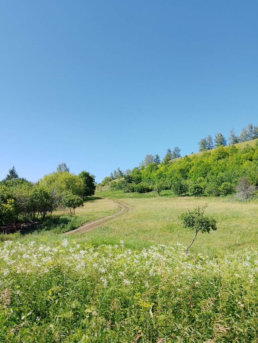 Тропа незаметно уходит вверх. Фото автора