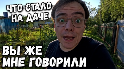 Вы же мне говорили, что стало на даче? Почему я не послушал и что с отмосткой у дома? Дачный влог