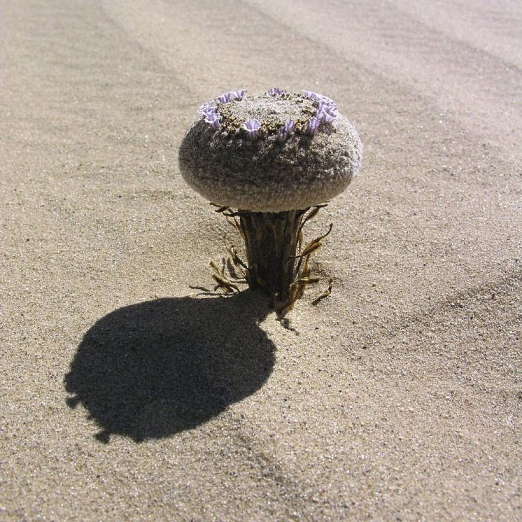 Неожиданный стриптиз 