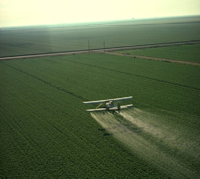 Продукты без ГМО - это часто продукты с "приправой" из пестицидов. 