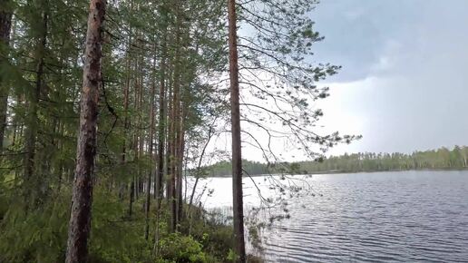 НИ ЧТО НЕ ПРЕДВЕЩАЛО ТАКОЕ РАЗВИТИЕ СОБЫТИЙ НА РЫБАЛКЕ!