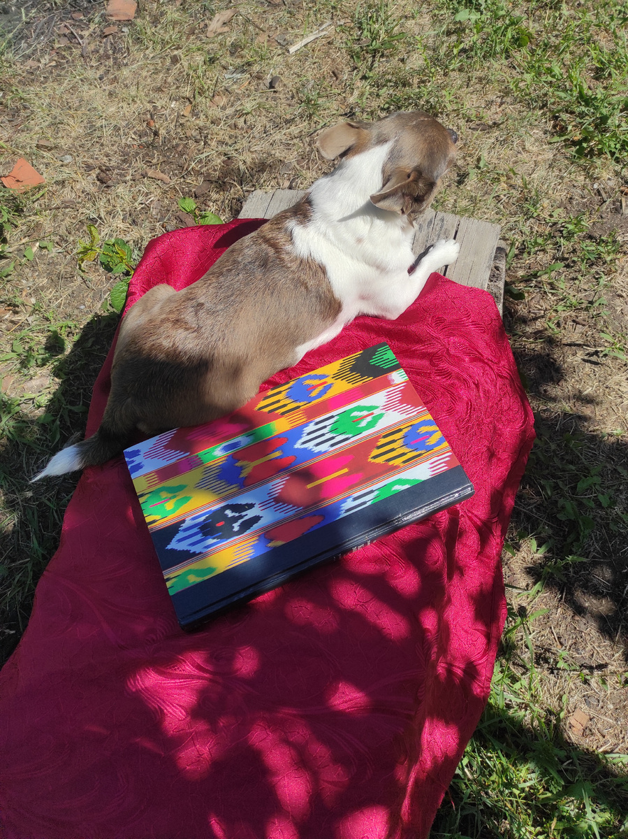 Собачка, караулит самое ценное