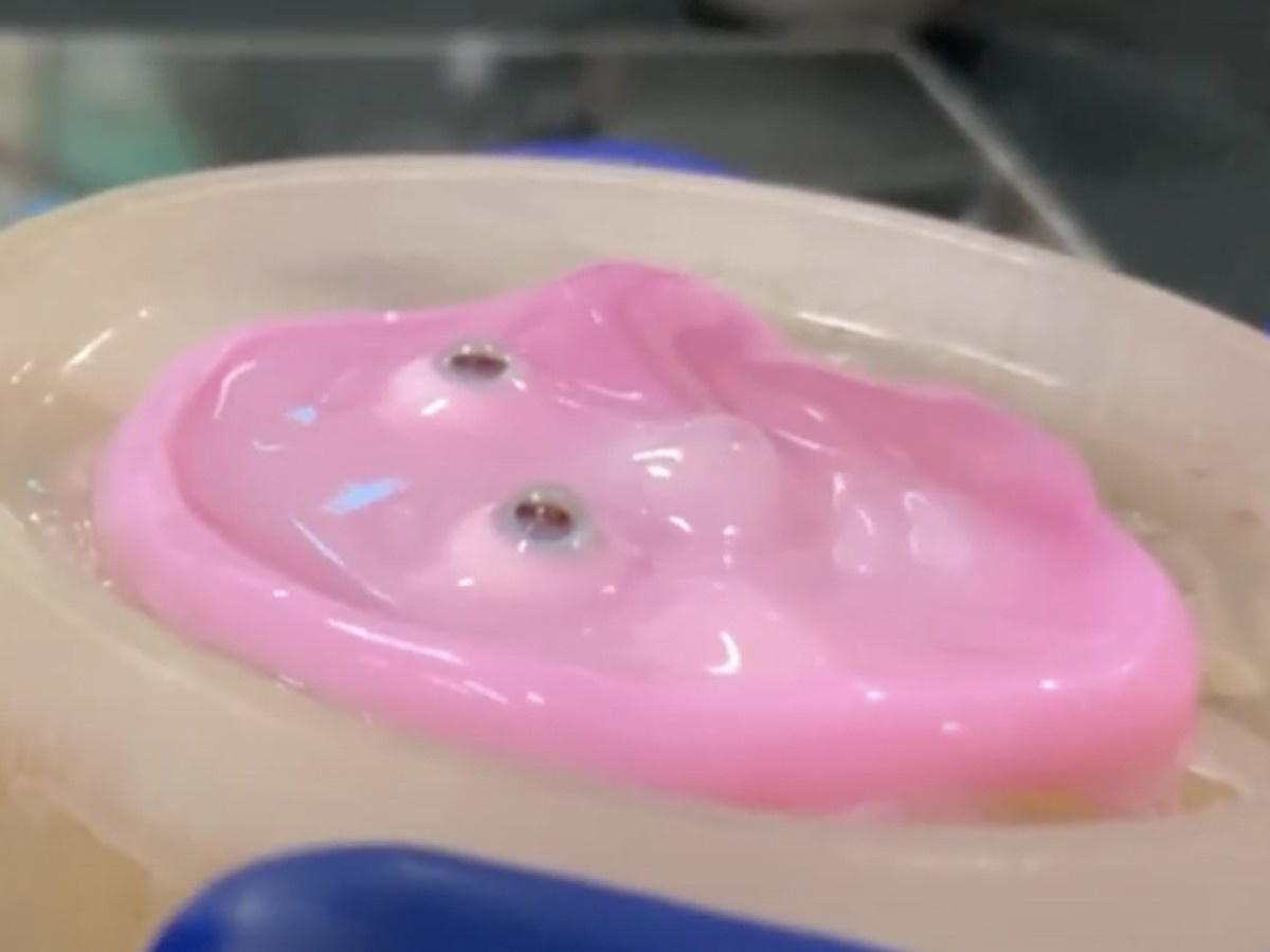    Из человеческой кожи сделали лицо для робота [ВИДЕО]