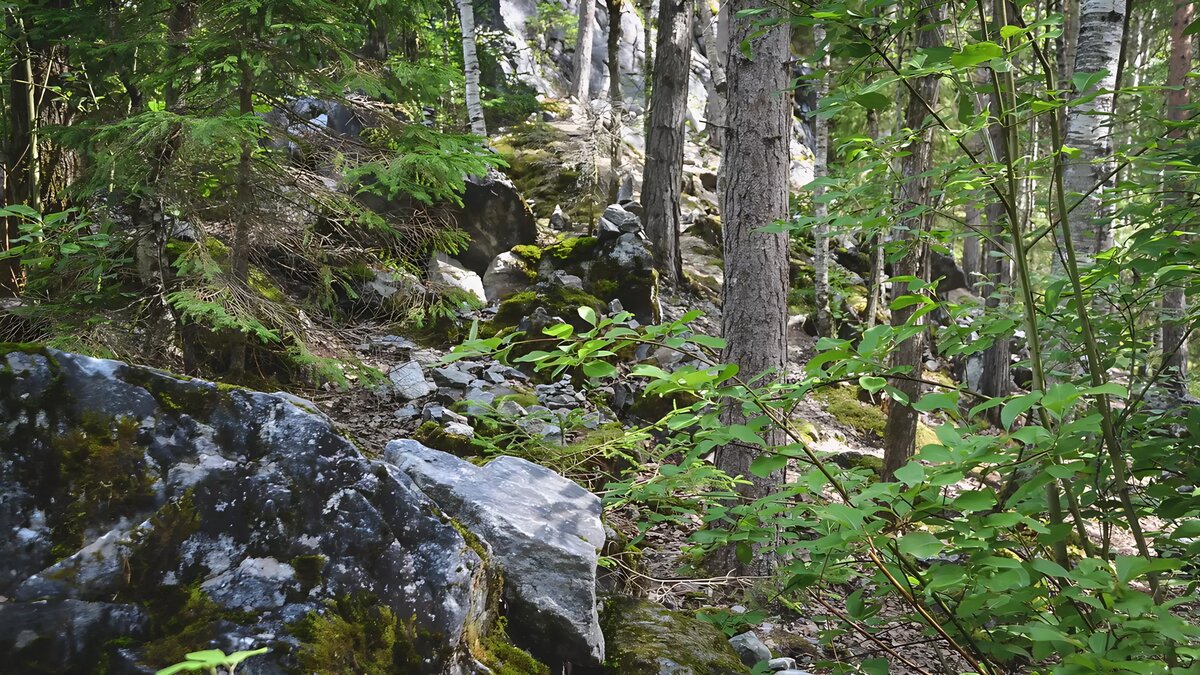     Источник: 1MI