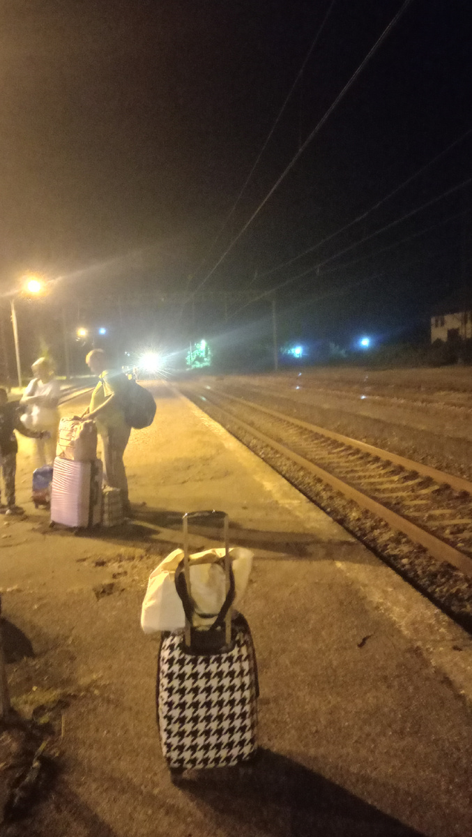 Это не самая худшая часть покрытия платформы. Есть вообще ужасные участки. Мы и по ним прошлись, вычисляя, где будет наш 15 вагон. 