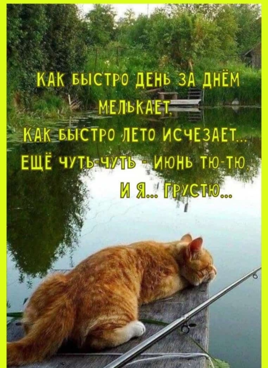 Из интернета