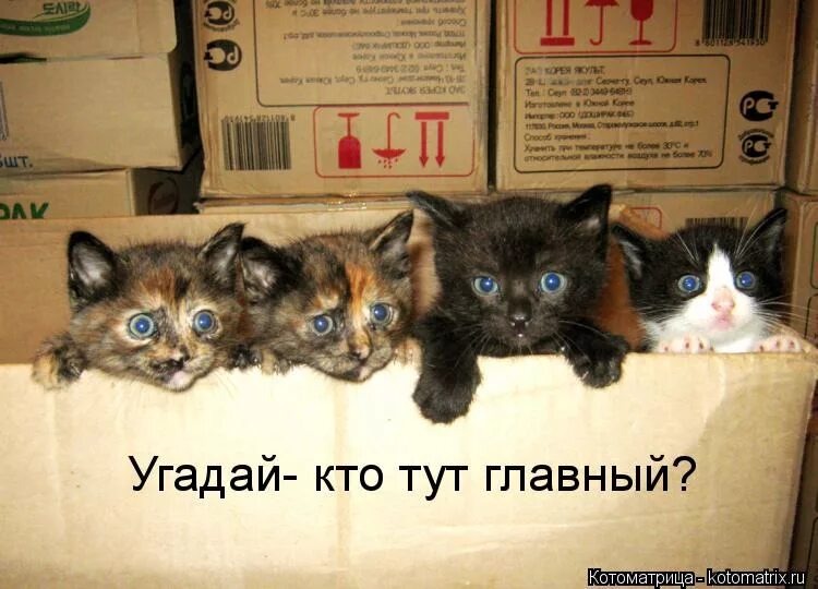 Изображение с сайта с открытым доступом.