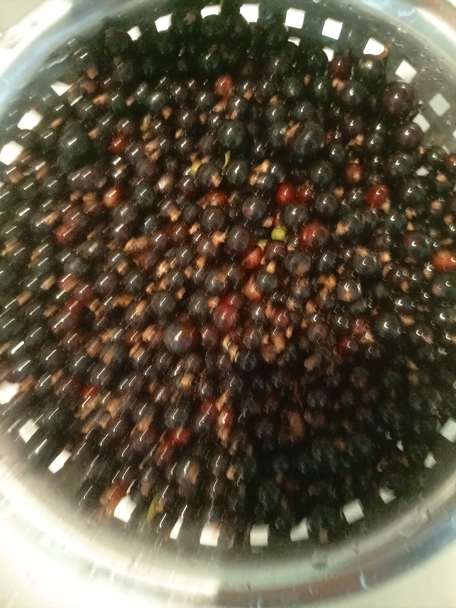 Не совсем удачно сфотографировала🙈😁