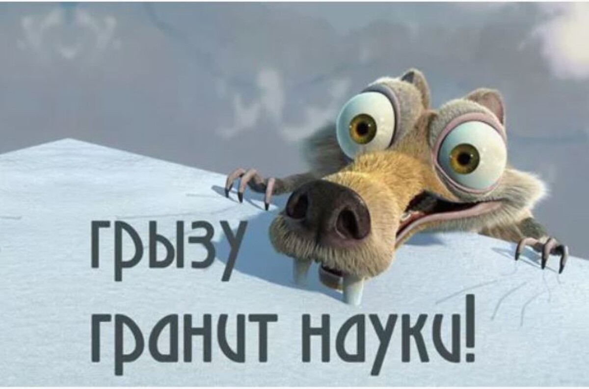 На пятом десятке - снова муж грызет гранит науки :) (скачано из свободных источников)