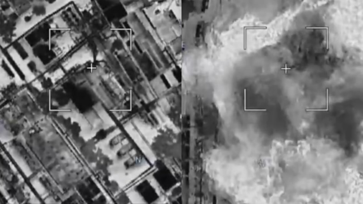 Фото: кадры из видео, соцсети