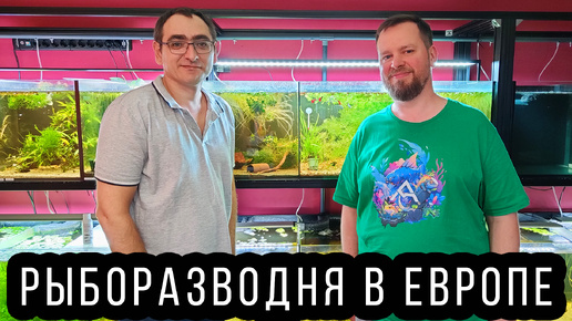 Аквариумная рыборазводня в Европе!