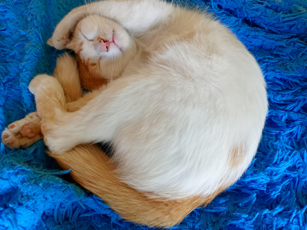 Это мой Хантер