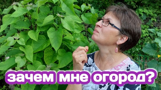 ЗАЧЕМ ОГОРОД ЕСЛИ НА НЕМ НИЧЕГО НЕ РАСТЁТ? ЩИ ИЗ КАРЕЛЬСКИХ ГРИБОВ, ПОДСТРИГЛА ВСЕ ТОМАТЫ, ЖИЗНЬ В ДЕРЕВНЕ В ЖАРКИЙ ДЕНЬ