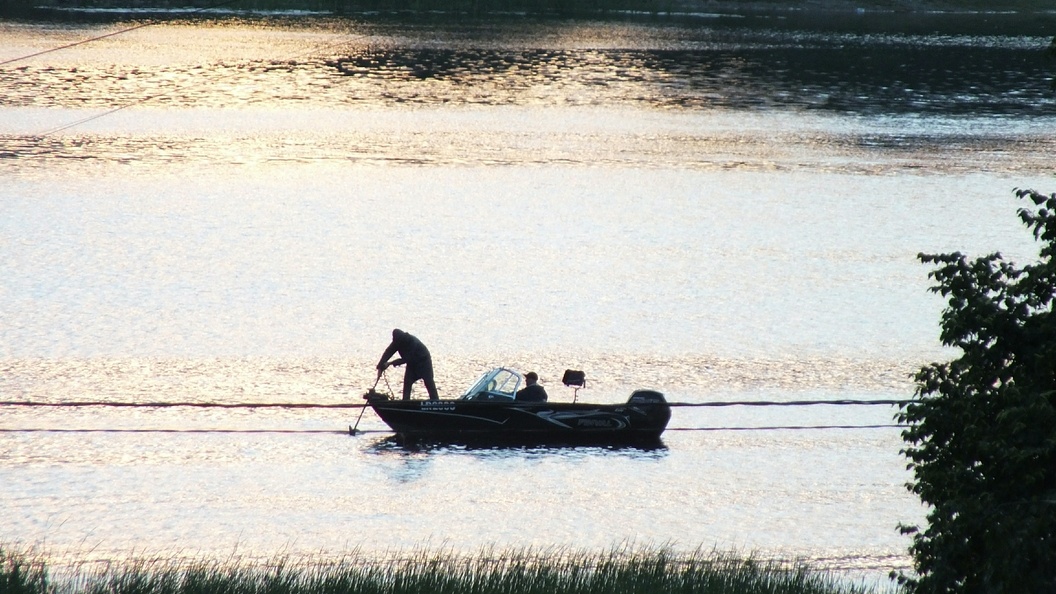    Фото: Victor Lisitsyn/Globallookpress