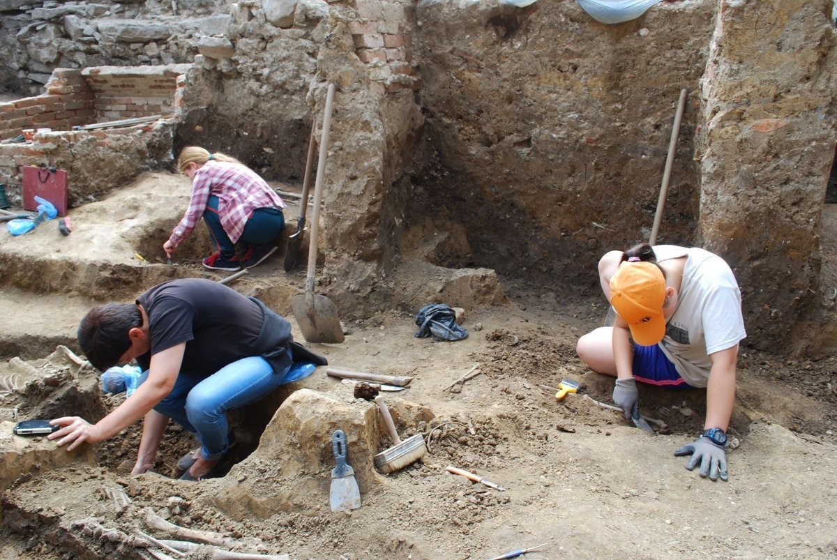 Откопанный археологами. Археологические находки. Средневековые могильники. Раскопки помпеи артефакты. Археологические раскопки.