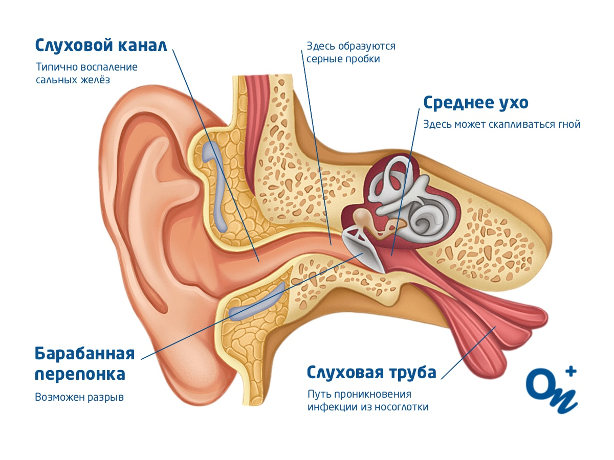 Стреляет ухо: нужно ли капать, делать компресс и пить лекарства? | О  здоровье: с медицинского на русский | Дзен