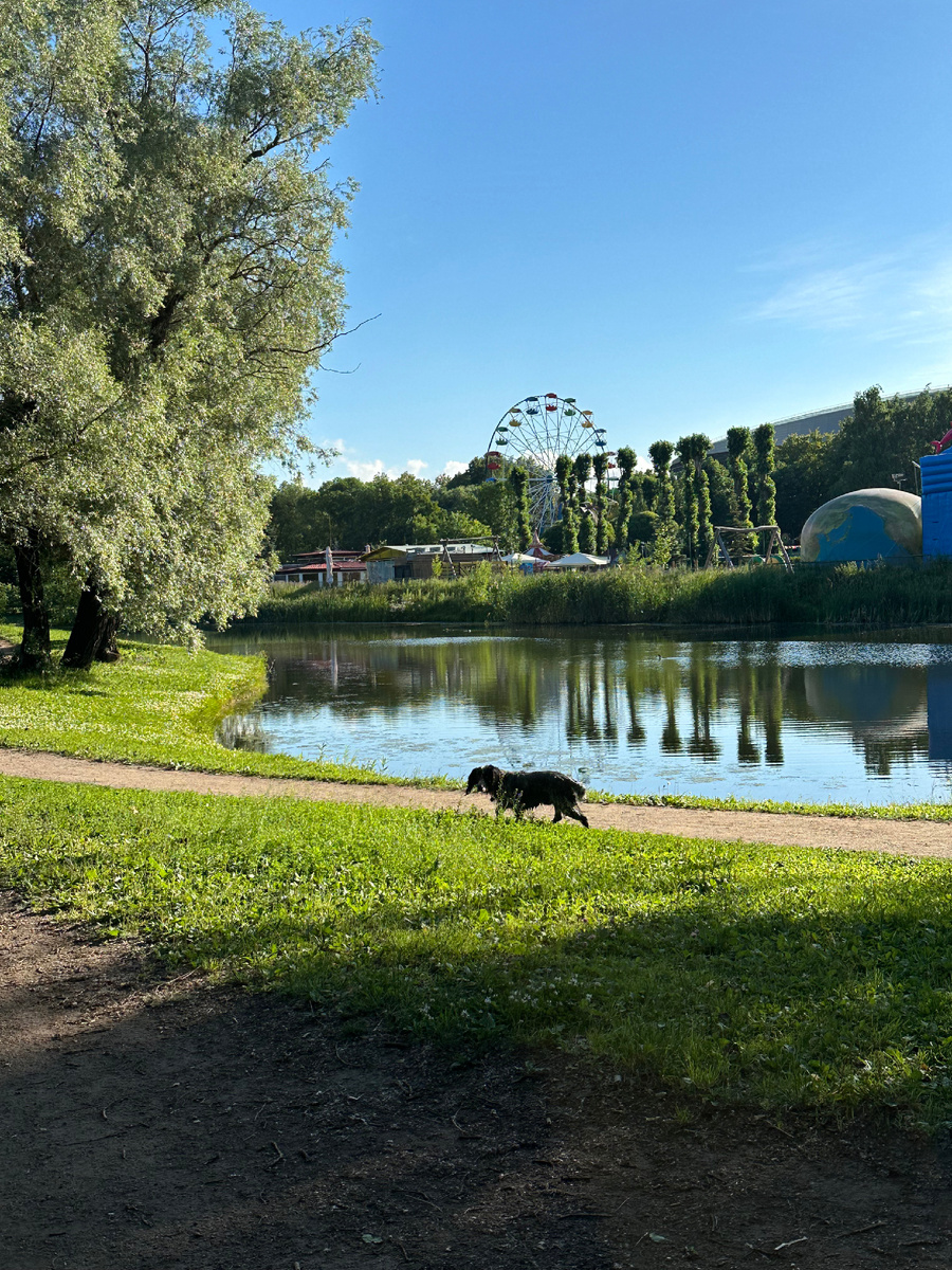 Фото Парка Победы с нашей утренней прогулки