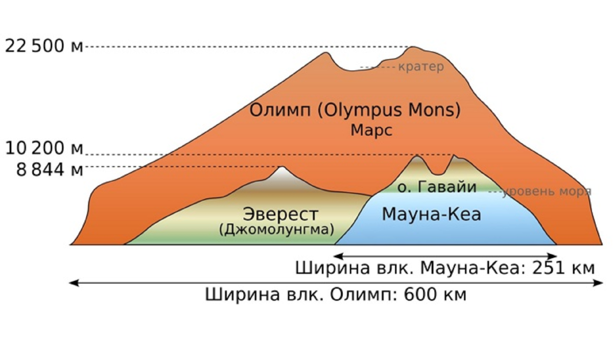 Сравнение марсианского Олимпа с горой Эверест и вулканом Мауна-Кеа. Изображение:  ru.wikipedia.org