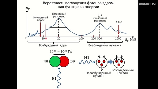 Капитонов И.М. - Ядерная резонансная флуоресценция - 1. Ядерная резонансная флуоресценция