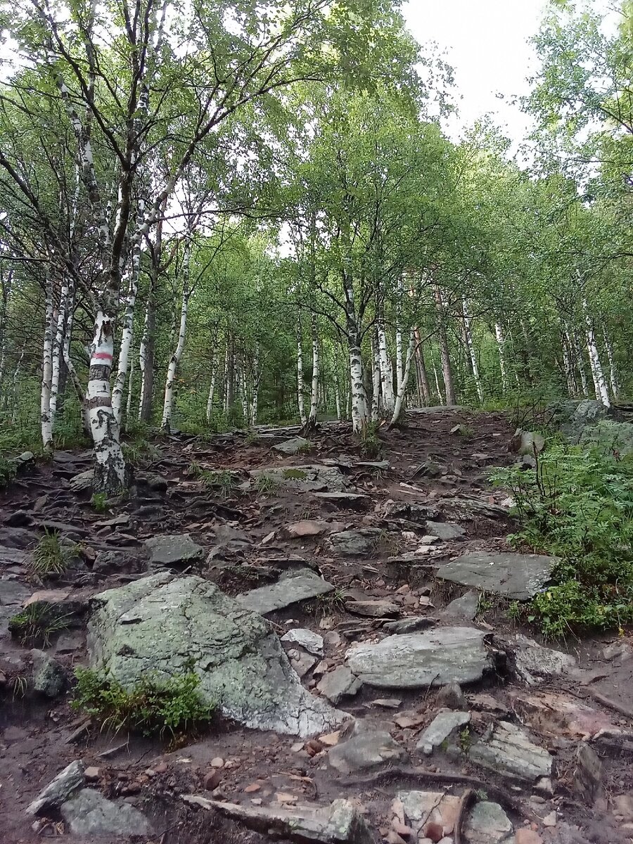 Дорога Двуглавую сопку. Фото автора