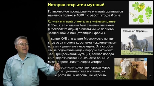 Download Video: Дубынин В.А. - 100 часов школьной биологии - 2.21. Мутационная изменчивость. Генетика человека.