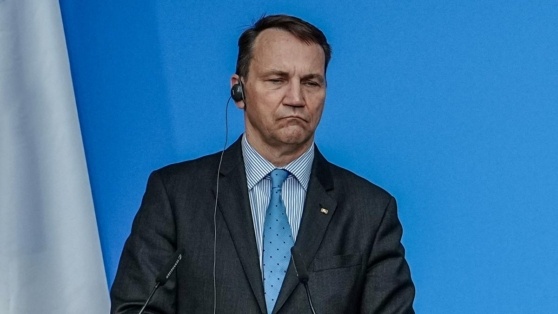    В МИД Польши процитировали слова Рейгана о поражении России Татьяна Сидорова