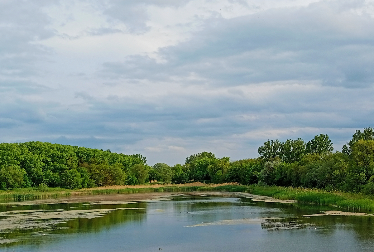 Река Кубань 