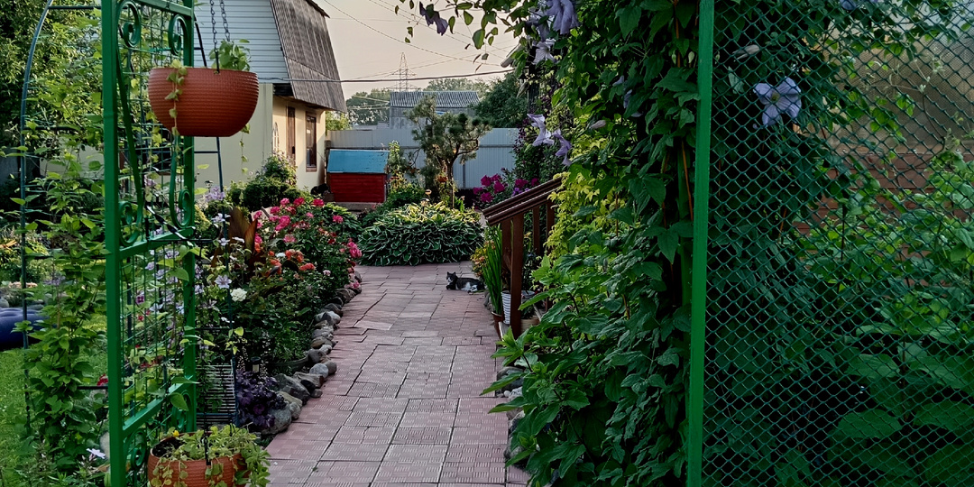 В моем лепешечном саду появляются вертикали. Вертикальки. Вертикалечки...