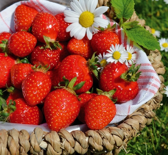 Новолуние 5 июля в Раке будет содействовать решению домашних дел, взаимодействию с родителями и домочадцами, в вопросах недвижимости, домовладения, занятий сельским хозяйством. Изображение: pixаby.com