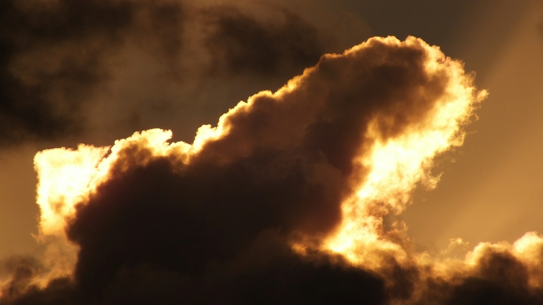    Фото: Victor Lisitsyn/Globallookpress