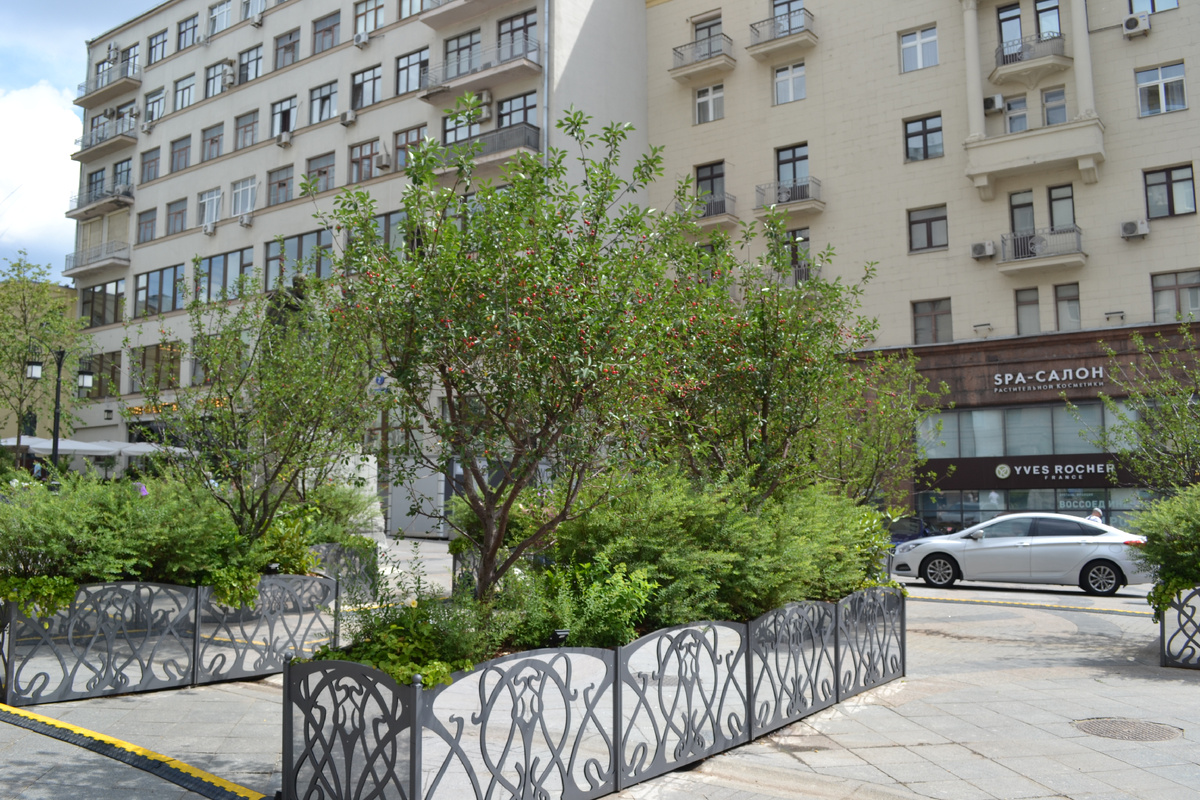 Москва. Камергерский переулок. 19.06.24г. Фото автора