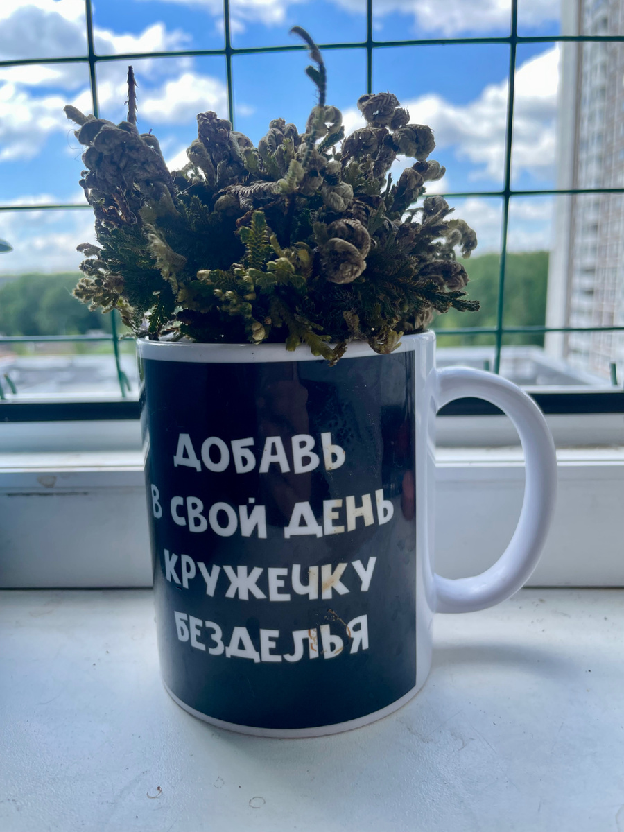 Неизвестное индийское растение.