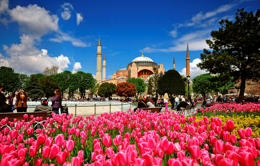 Тюльпаны в Стамбуле (открытые источники)