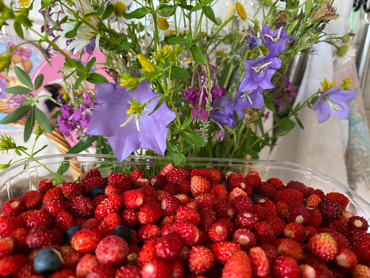 Земляничный привет... Фото автора