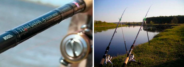 Фото с сайта: http://klev-tut.ru/uploads/posts/2015-03/1426620227_katushka.jpg