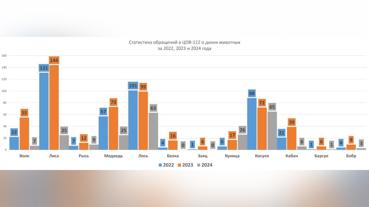    В Башкирии участились выходы диких зверей к людям