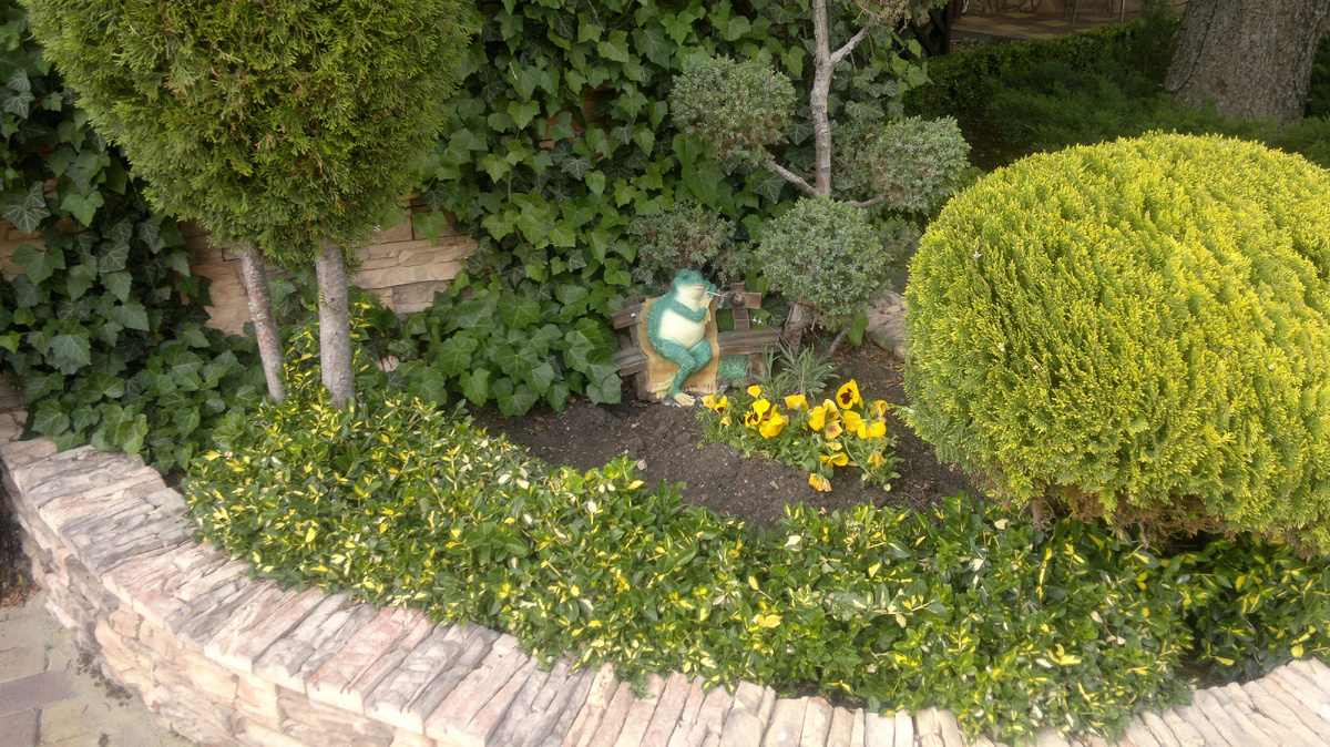 фото автора