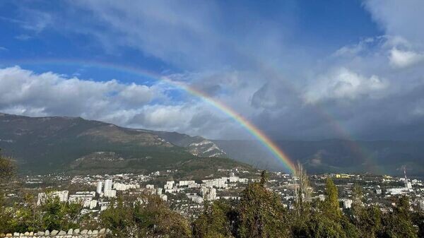    © Telegram-канал главы администрации Ялты Янины Павленко