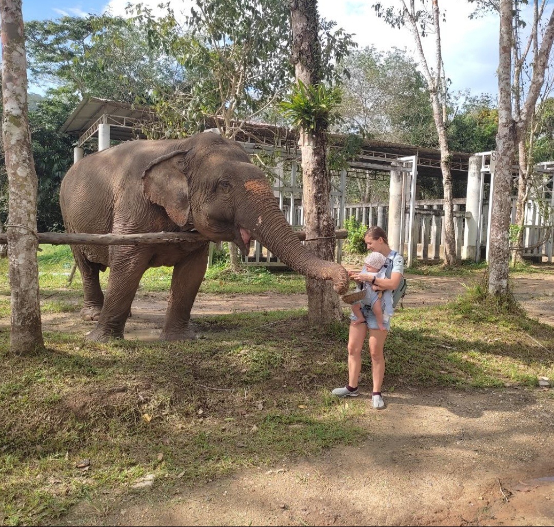2022 год. Марк надулся, так как любимый банан пришлось отдать слону.