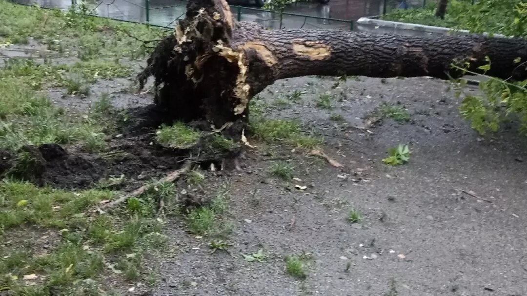     Источник: Екатерина Гриценко/vk.com/chelik