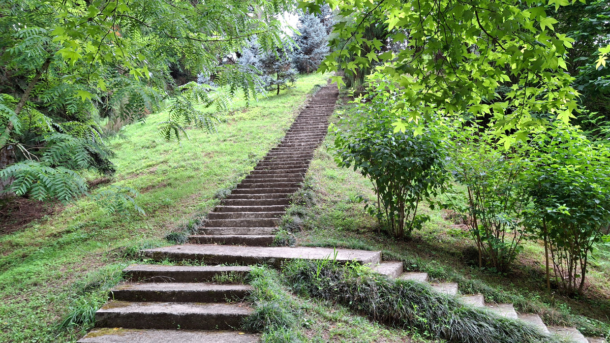 Обманчивая лестница. Фото автора