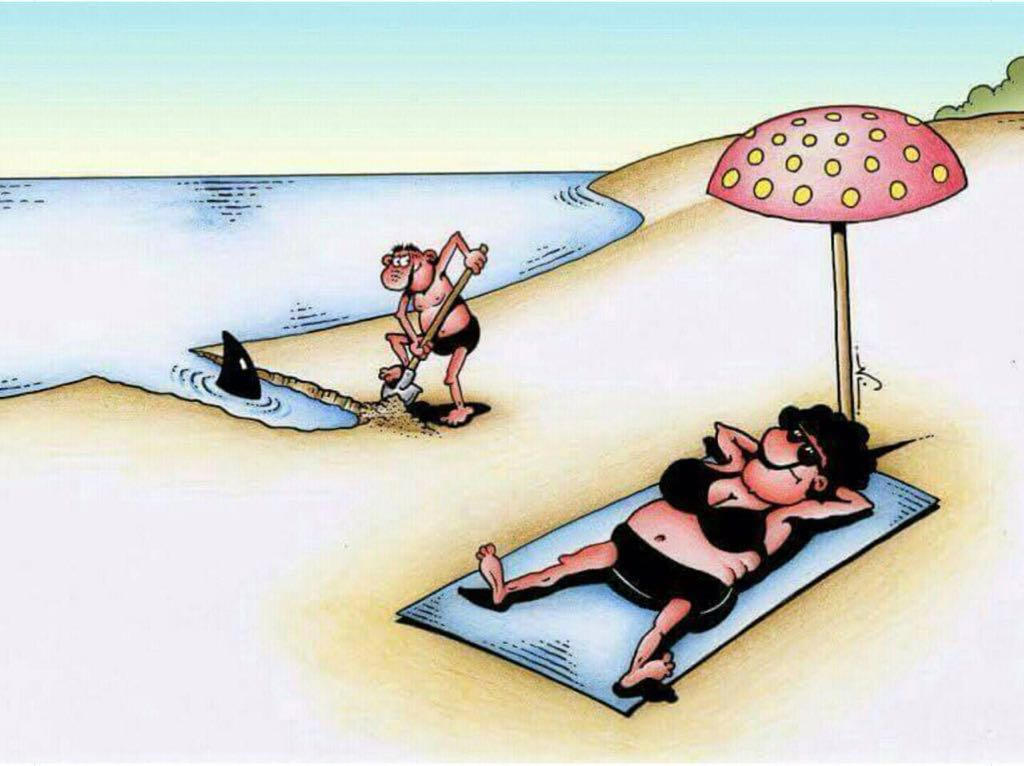 Яндекс картинки