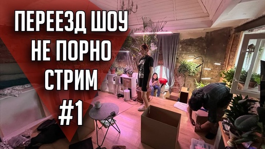 Переезд шоу #1 |  НеПорноСтрим TheStation