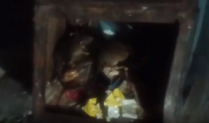 Источник фото: rostovgazeta, скриншот с видео
